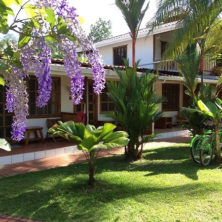 Posada Nena Caribe Puerto Viejo de Talamanca Kültér fotó