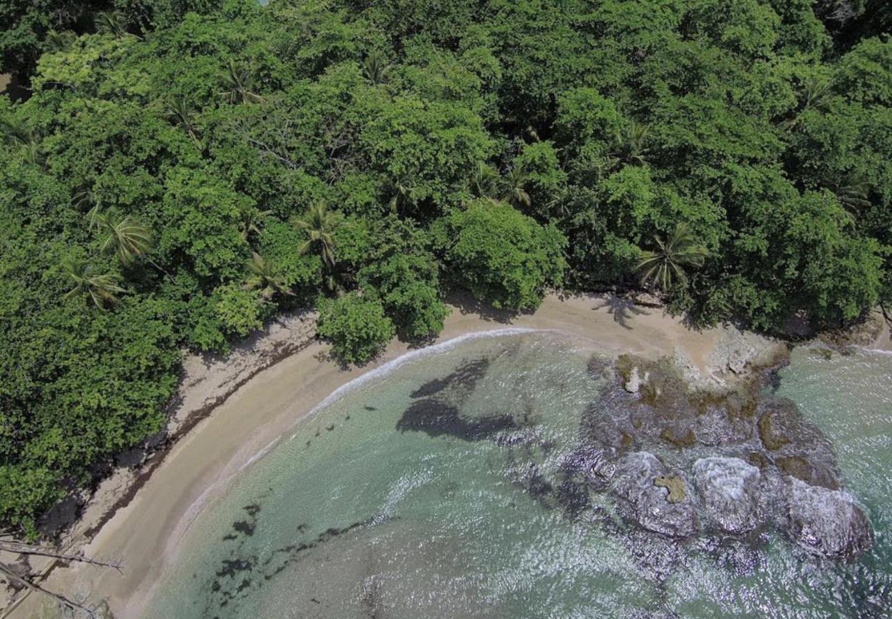 Posada Nena Caribe Puerto Viejo de Talamanca Kültér fotó