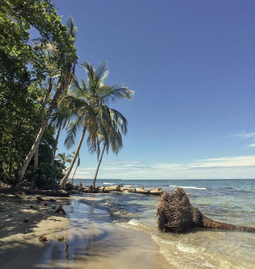 Posada Nena Caribe Puerto Viejo de Talamanca Kültér fotó