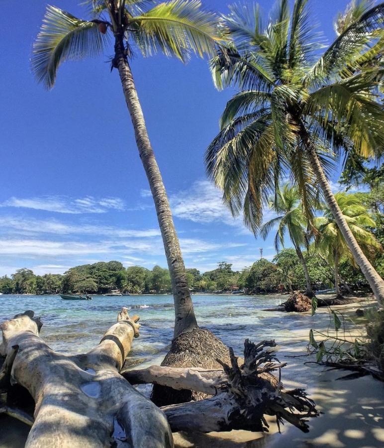 Posada Nena Caribe Puerto Viejo de Talamanca Kültér fotó