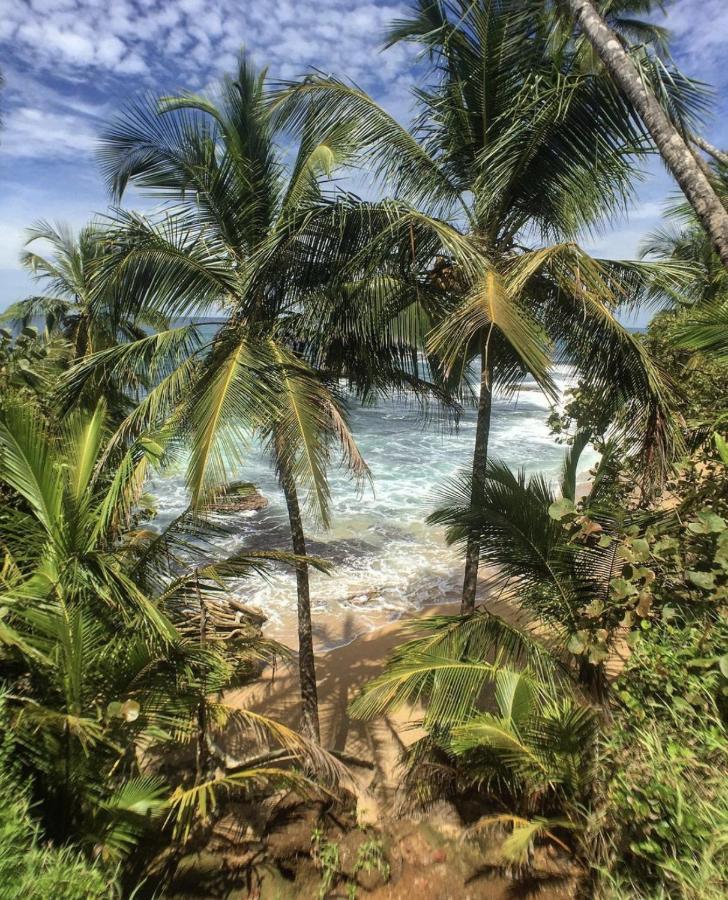 Posada Nena Caribe Puerto Viejo de Talamanca Kültér fotó