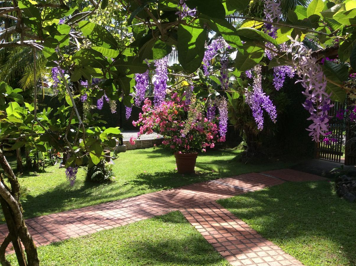 Posada Nena Caribe Puerto Viejo de Talamanca Kültér fotó